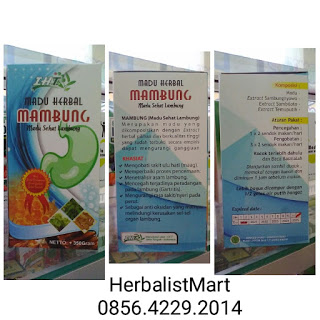 JUAL MADU MAMBUNG | HUB. FARIKHIN 0856.4229.2014 | MADU HERBAL SEHAT LAMBUNG