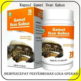 GAMAT IKAN GABUS JUAL KAPSUL GAMAT IKAN GABUS | HUB. FARIKHIN 0856.4229.2014