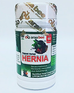 JUAL KAPSUL HERBAL UTK HERNIA / TURUN BEROK | HUB. FARIKHIN 0856.4229.2014 PIN BB 5EA6EDDD